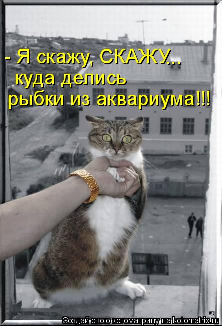 Котоматрица: - Я скажу, СКАЖУ куда делись рыбки из аквариума!!! ...