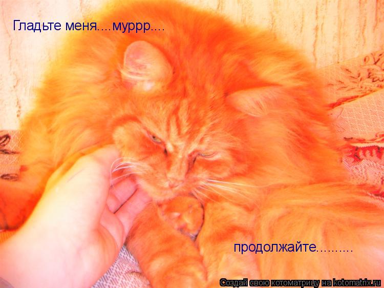 Погладь меня цветок Погладь меня цветок