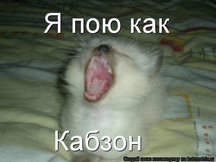 Я пою как Кабзон... Котоматрица: Я пою как Кабзон