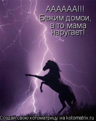АААААА!!! Бежим домои, а то мама наругает!... Котоматрица: АААААА!!! Бежим домои, а то мама наругает!