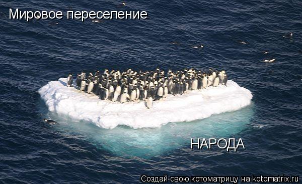 Мировое переселение НАРОДА... Котоматрица: Мировое переселение НАРОДА
