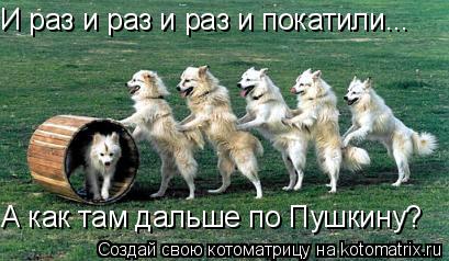 И раз и раз и раз и покатили... А как там дальше по Пушкину?... Котоматрица: И раз и раз и раз и покатили... А как там дальше по Пушкину?