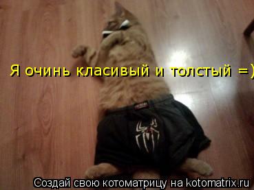 Котоматрица: Я очинь класивый и толстый =)
