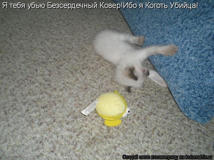 Я тебя убью Безсердечный Ковер!Ибо я Коготь Убийца!... Котоматрица: Я тебя убью Безсердечный Ковер!Ибо я Коготь Убийца!