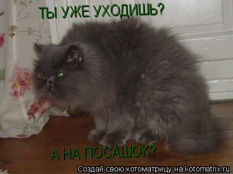 Котоматрица: ТЫ УЖЕ УХОДИШЬ? А НА ПОСАШОК?