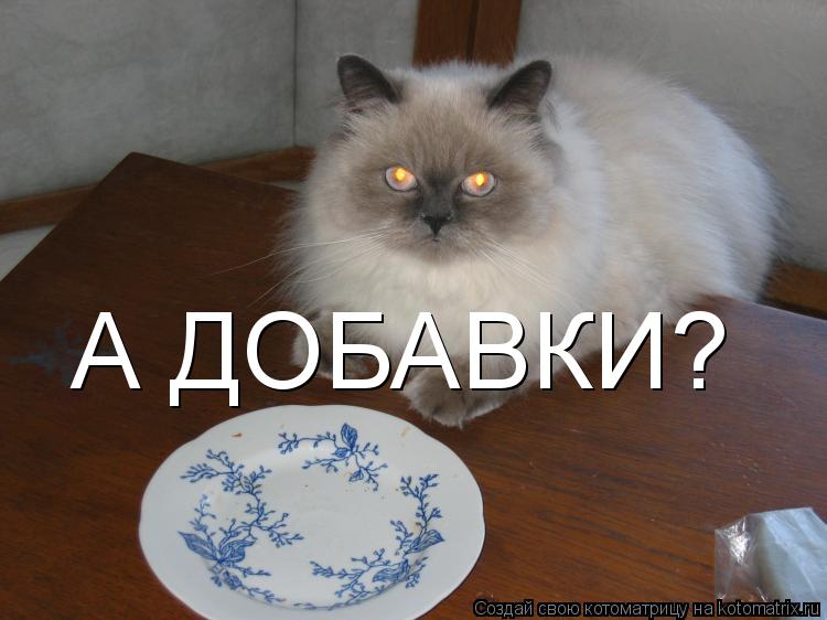 А ДОБАВКИ?... Котоматрица: А ДОБАВКИ?
