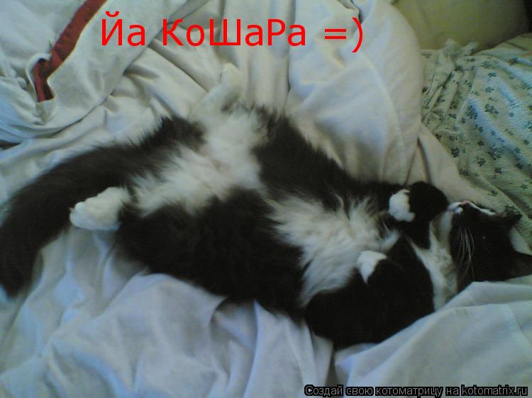 Котоматрица: Йа КоШаРа =)