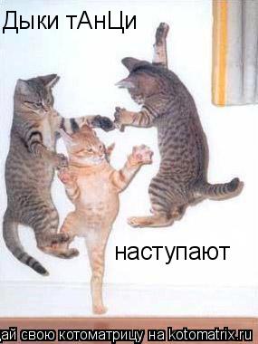 Дыки тАнЦи наступают... Котоматрица: Дыки тАнЦи наступают