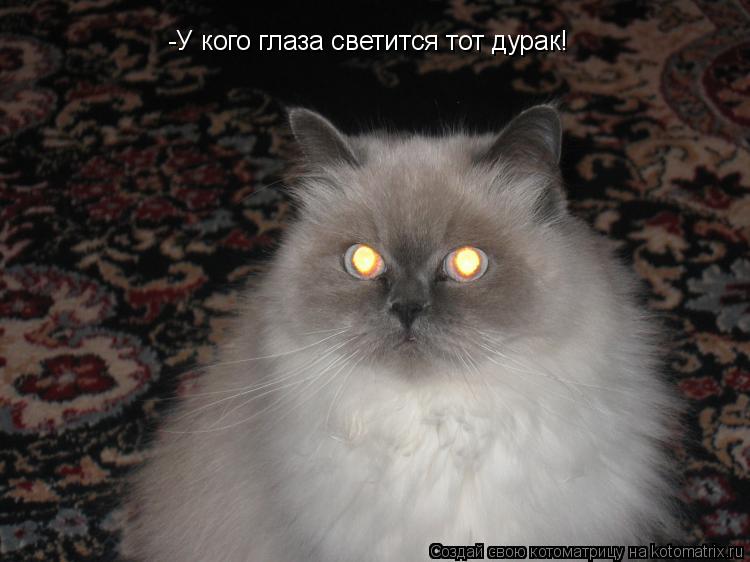 Котоматрица: -У кого глаза светится тот дурак!