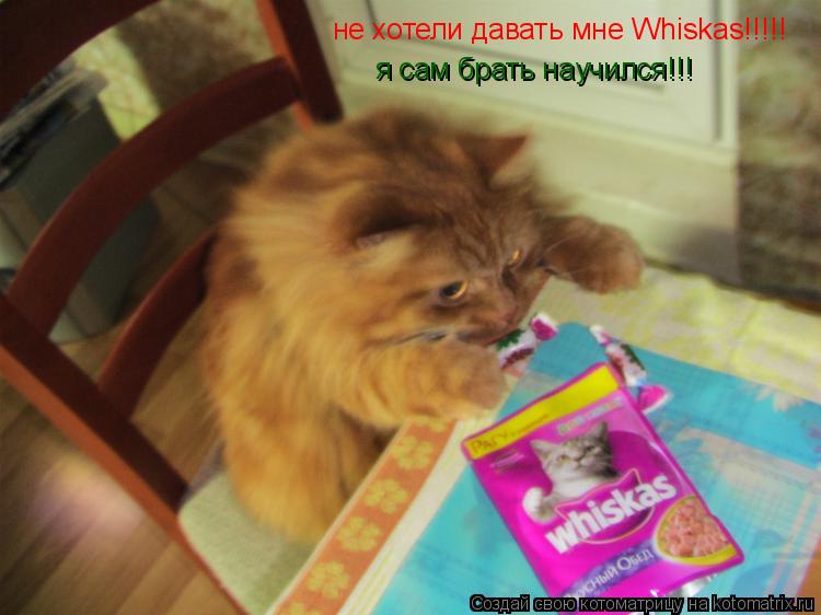 Котоматрица: не хотели давать мне Whiskas!!!!! я сам брать научился!!!