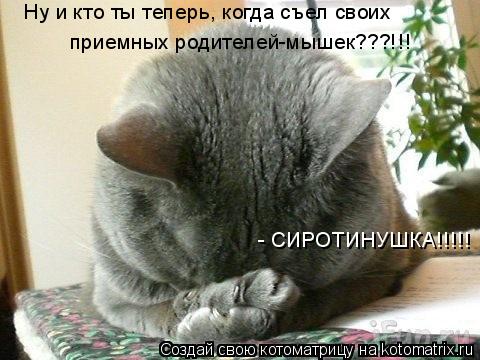 Котоматрица: Ну и кто ты теперь, когда съел своих приемных родителей-мышек???!!! - СИРОТИНУШКА!!!!!