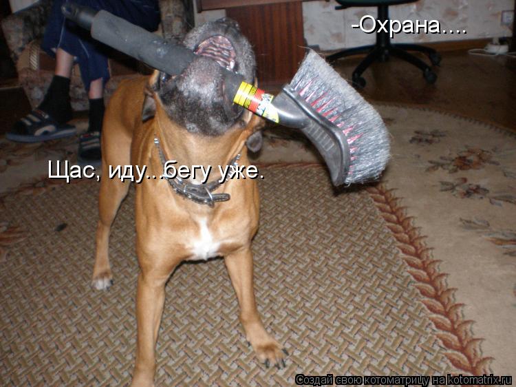 -Охрана.... Щас, иду...бегу уже.... Котоматрица: -Охрана.... Щас, иду...бегу уже.