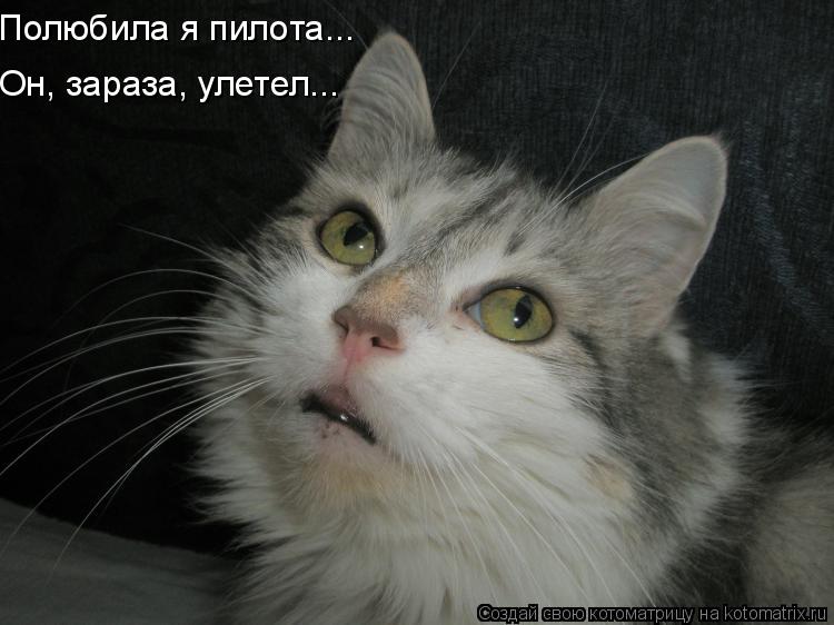 Полюбила я пилота... Он, зараза, улетел...... Котоматрица: Полюбила я пилота... Он, зараза, улетел...