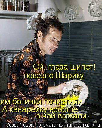 ...повезло Шарику, им ботинки почистили... А канарейку вообще в чай выжали... Ой, глаза щипет!... Котоматрица: ...повезло Шарику, им ботинки почистили... А канарейку вообще в чай выжали... Ой, глаза щипет!