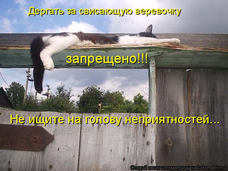 Дергать за свисающую веревочку запрещено!!! Не ищите на голову неприятностей...... Котоматрица: Дергать за свисающую веревочку запрещено!!! Не ищите на голову неприятностей...