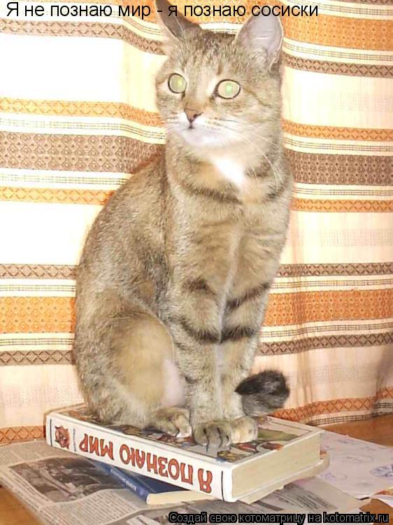 Котоматрица: Я не познаю мир - я познаю сосиски
