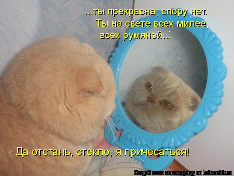 ...ты прекрасна, спору нет. Ты на свете всех милее, всех румяней... - Да отстань, стекло, я причесать... Котоматрица: ...ты прекрасна, спору нет. Ты на свете всех милее, всех румяней... - Да отстань, стекло, я причесаться!