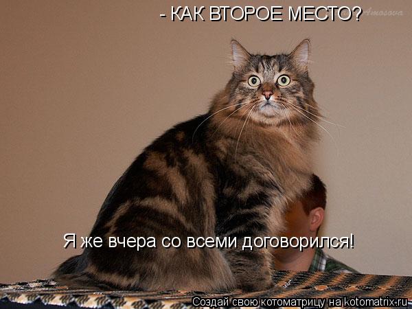 - КАК ВТОРОЕ МЕСТО? Я же вчера со всеми договорился!... Котоматрица: - КАК ВТОРОЕ МЕСТО? Я же вчера со всеми договорился!