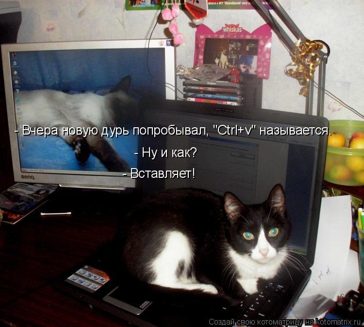 - Вчера новую дурь попробывал, "Сtrl+v" называется. - Ну и как? - Вставляет!... Котоматрица: - Вчера новую дурь попробывал, "Сtrl+v" называется. - Ну и как? - Вставляет!