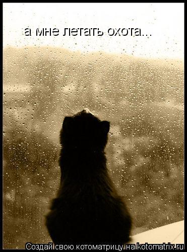 а мне летать охота...... Котоматрица: а мне летать охота...