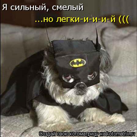 Я сильный, смелый ...но легки-и-и-и-й (((... Котоматрица: Я сильный, смелый ...но легки-и-и-и-й (((