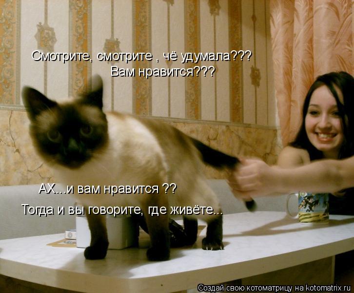 Котоматрица: Смотрите, смотрите , чё удумала??? Вам нравится??? АХ...и вам нравится ?? Тогда и вы говорите, где живёте...