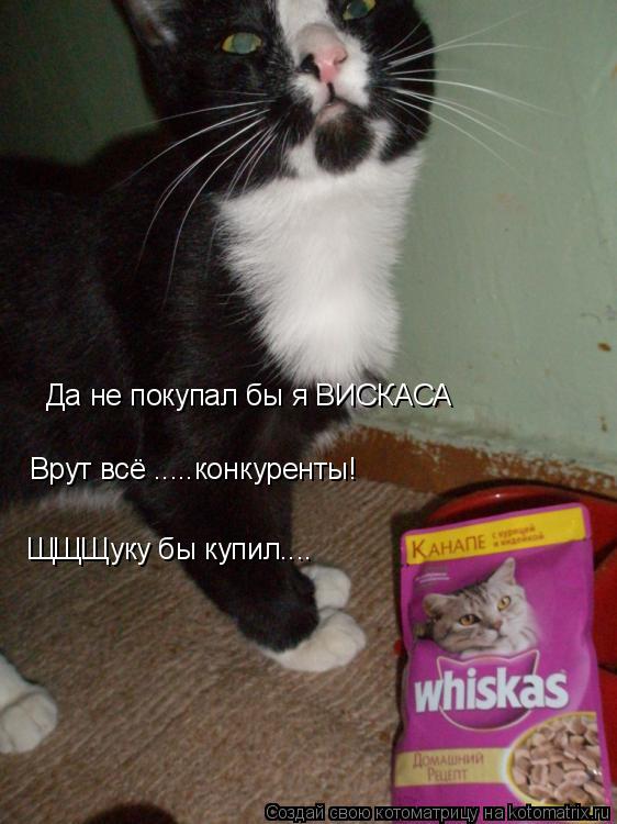 Да не покупал бы я ВИСКАСА Врут всё .....конкуренты! ЩЩЩуку бы купил....... Котоматрица: Да не покупал бы я ВИСКАСА Врут всё .....конкуренты! ЩЩЩуку бы купил....