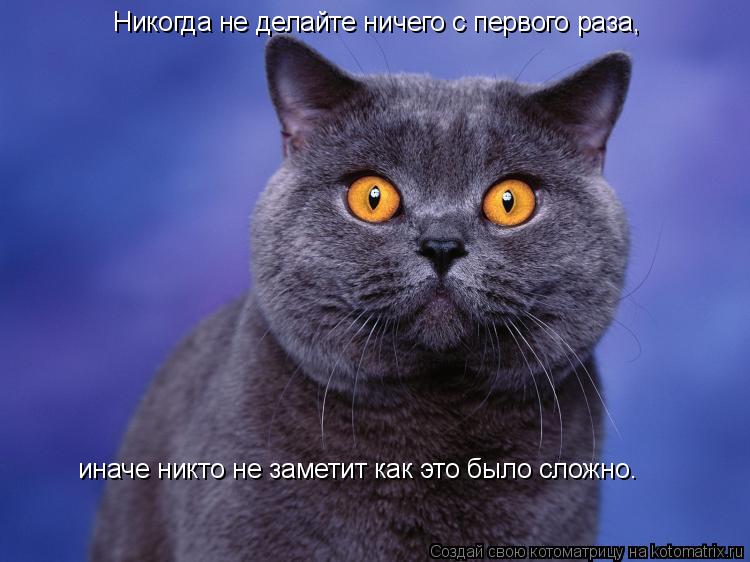Никогда не делайте ничего с первого раза, иначе никто не заметит как это было сложно.... Котоматрица: Никогда не делайте ничего с первого раза, иначе никто не заметит как это было сложно.