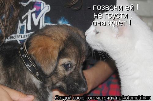 не грусти ! она ждёт ! - позвони ей !... Котоматрица: не грусти ! она ждёт ! - позвони ей !