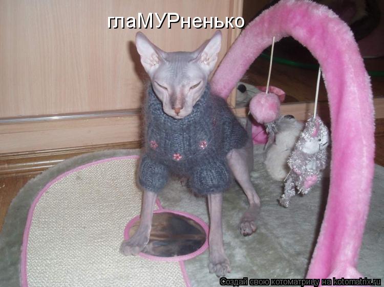 глаМУРненько... Котоматрица: глаМУРненько