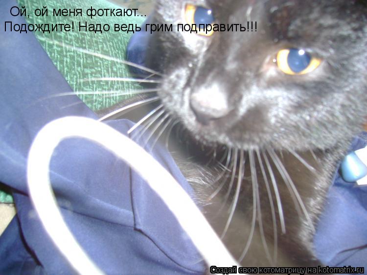 Ой, ой меня фоткают... Подождите! Надо ведь грим подправить!!!... Котоматрица: Ой, ой меня фоткают... Подождите! Надо ведь грим подправить!!!