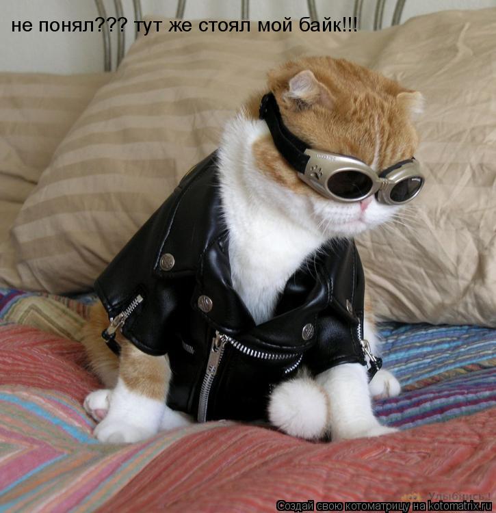 не понял??? тут же стоял мой байк!!!... Котоматрица: не понял??? тут же стоял мой байк!!!
