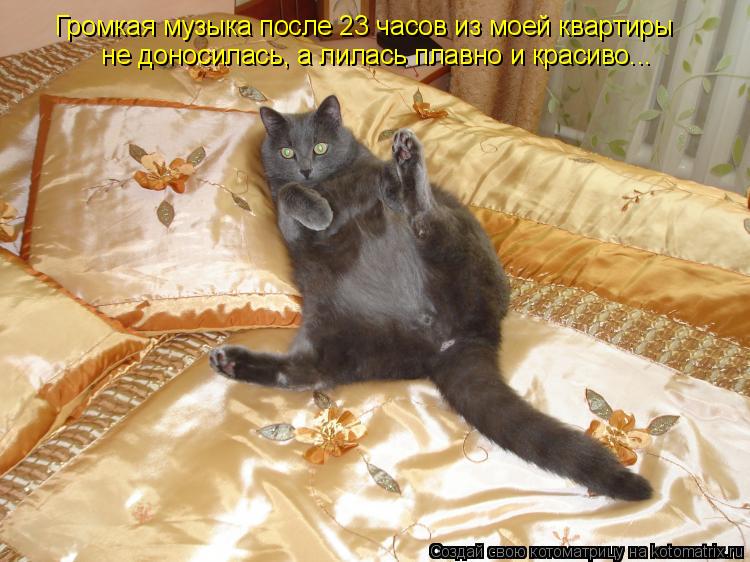 Громкая музыка после 23 часов из моей квартиры не доносилась, а лилась плавно и красиво...... Котоматрица: Громкая музыка после 23 часов из моей квартиры не доносилась, а лилась плавно и красиво...
