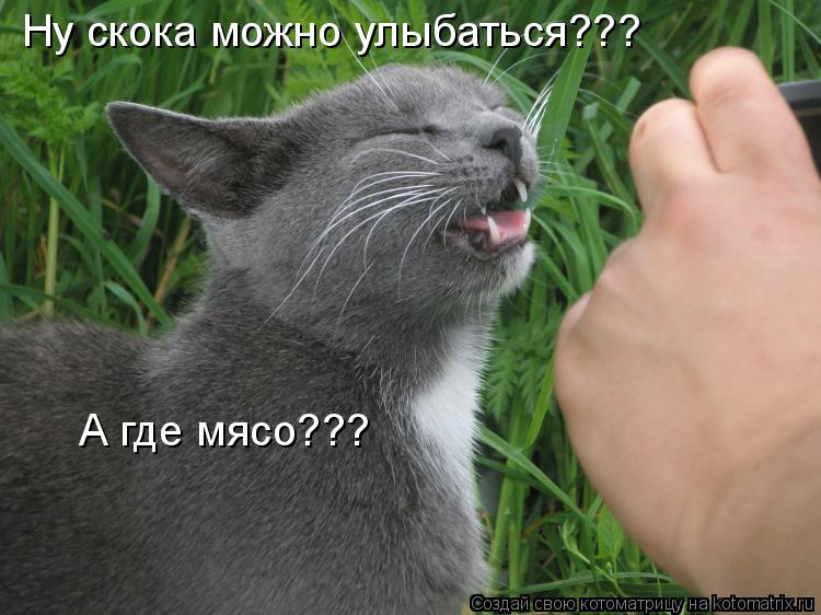 Ну скока можно улыбаться??? А где мясо???... Котоматрица: Ну скока можно улыбаться??? А где мясо???