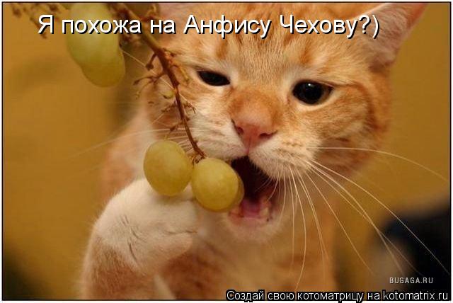 Котоматрица: Я похожа на Анфису Чехову?)