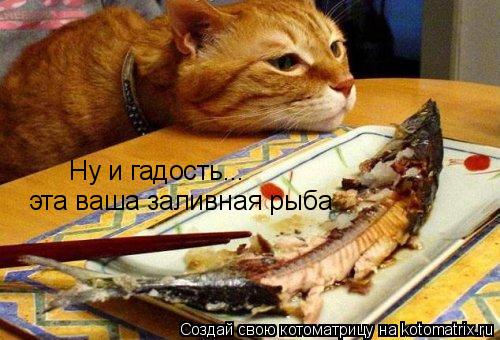Ну и гадость... эта ваша заливная рыба... Котоматрица: Ну и гадость... эта ваша заливная рыба