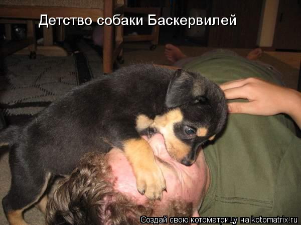 Детство собаки Баскервилей... Котоматрица: Детство собаки Баскервилей