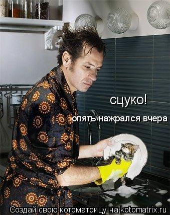 сцуко! опять нажрался вчера... Котоматрица: сцуко! опять нажрался вчера