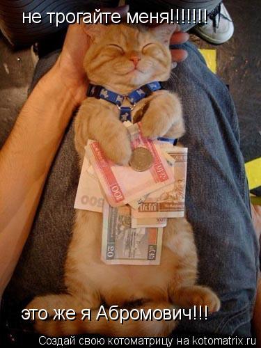 не трогайте меня!!!!!!! это же я Абромович!!!... Котоматрица: не трогайте меня!!!!!!! это же я Абромович!!!