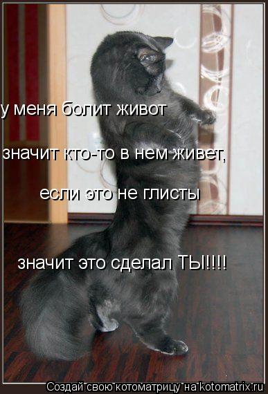 у меня болит живот значит кто-то в нем живет, если это не глисты значит это сделал ТЫ!!!!... Котоматрица: у меня болит живот значит кто-то в нем живет, если это не глисты значит это сделал ТЫ!!!!