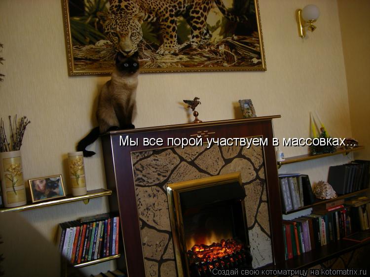 Котоматрица: Мы все порой участвуем в массовках...