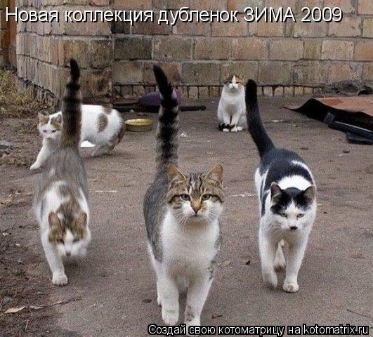Новая коллекция дубленок ЗИМА 2009... Котоматрица: Новая коллекция дубленок ЗИМА 2009