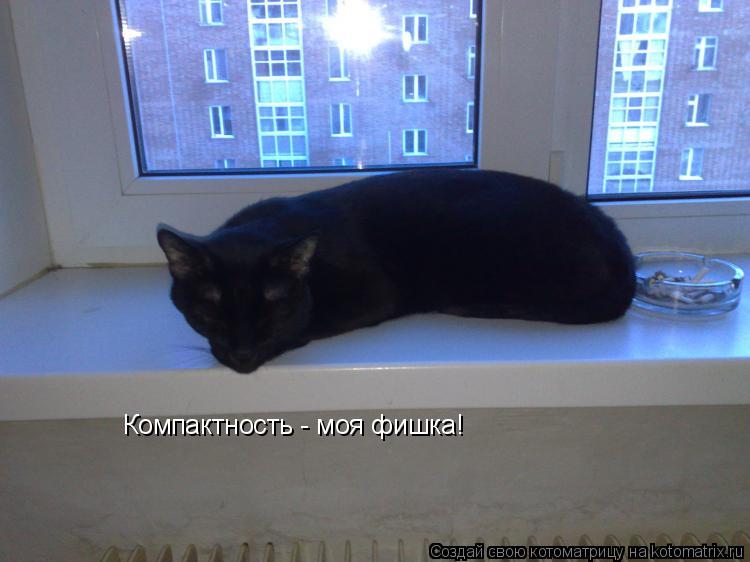 Компактность - моя фишка!... Котоматрица: Компактность - моя фишка!