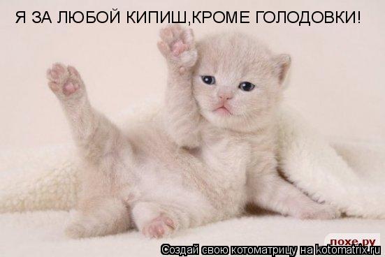 Я ЗА ЛЮБОЙ КИПИШ,КРОМЕ ГОЛОДОВКИ!... Котоматрица: Я ЗА ЛЮБОЙ КИПИШ,КРОМЕ ГОЛОДОВКИ!