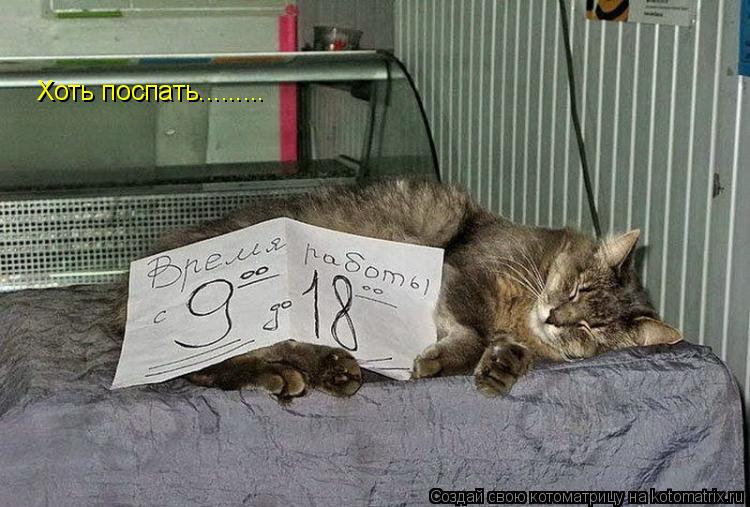 Хоть поспать............ Котоматрица: Хоть поспать.........