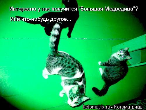 Интересно у нас получится "Большая Медведица"? Или что-нибудь другое...... Котоматрица: Интересно у нас получится "Большая Медведица"? Или что-нибудь другое...