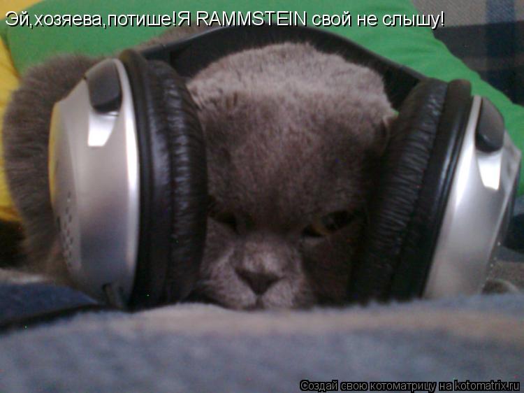 Котоматрица: Эй,хозяева,потише!Я RAMMSTEIN свой не слышу!