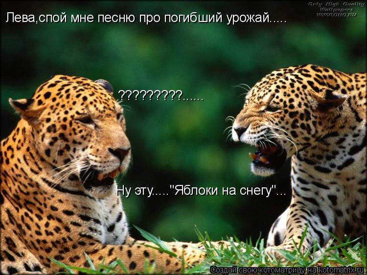 Лева,спой мне песню про погибший урожай..... ?????????...... Ну эту....."Яблоки на снегу"...... Котоматрица: Лева,спой мне песню про погибший урожай..... ?????????...... Ну эту....."Яблоки на снегу"...