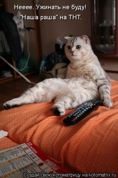 Нееее. Ужинать не буду! "Наша раша" на ТНТ.... Котоматрица: Нееее. Ужинать не буду! "Наша раша" на ТНТ.