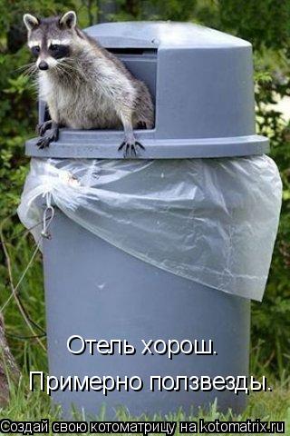 Отель хорош. Примерно ползвезды.... Котоматрица: Отель хорош. Примерно ползвезды.